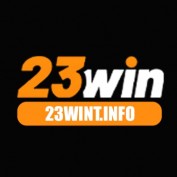 tinfo23win profile image