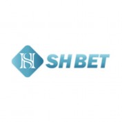 shbettingcom profile image