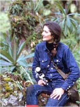 dian fossey essay dian fossey essay