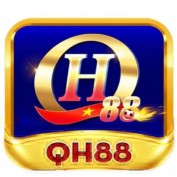 qh88us3 profile image