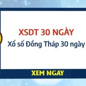 xsdt30 profile image