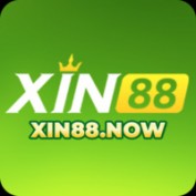xin88now profile image
