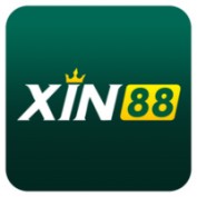 xin88cncom profile image