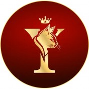 yeu88band profile image