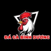 dagabinhduong profile image
