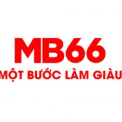 mb66axcom profile image