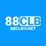 clbvnet88 profile image