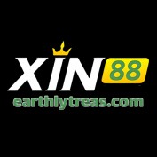 xin88direct profile image