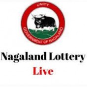 nagalandstatelotery5 profile image