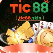 tic88skin profile image
