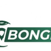 bongdakovin profile image