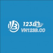 vn123bco profile image