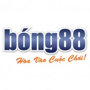 bong88vipnet profile image