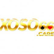 xoso66care1vn profile image