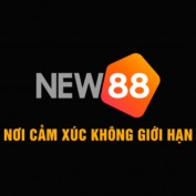 fnew88com profile image