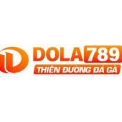 dola789ille profile image