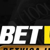 betvisainstitute profile image