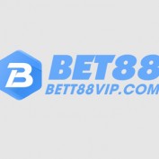 Betvipcom profile image