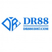 dr8803087com profile image