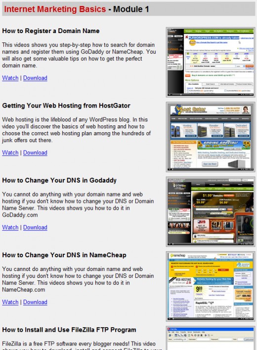 Wordpress Wizard 2.0 Members area , Internet Marketing basics section
