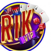 rikvipprowin profile image