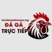 dagatructiepdiocese profile image