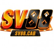 sv88vivip profile image