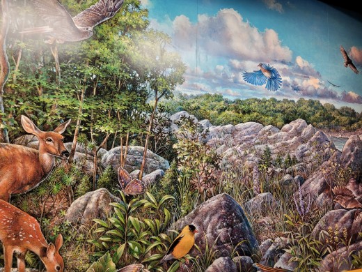Mural at the Great Falls Visitor Center, VA, 3/15/25