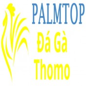 dagapalmtop profile image