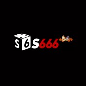 s666vndev profile image