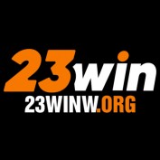 winworg23 profile image