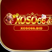 xoso66bid profile image