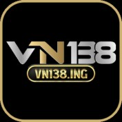 vn138ing profile image