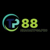 nhacaitp88pro profile image