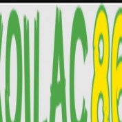 xoilacyywcc profile image