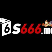 s666vntel profile image