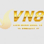 vn8city profile image
