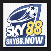 sky88now1 profile image