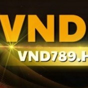 vndhomes9 profile image