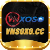 vnsoxocc profile image