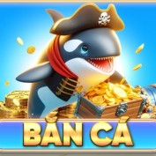 bancaxosocom profile image