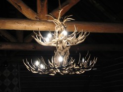 Antler Chanelier from the deer antler chandelier to the faux models