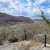 View from the site of Jefferson Rock, March 22, 2025.
