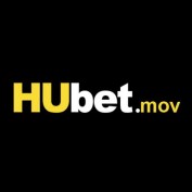 hubetmov profile image