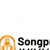 Song produzent profile image
