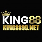 king8899net profile image