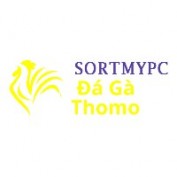 dagasortmypc profile image