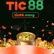 tic88wang profile image