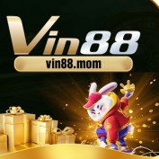 vin88mom profile image