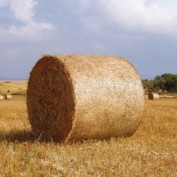 netwrapsa profile image